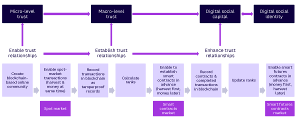 Figure 4. The process of trust and social capital development in DTTM