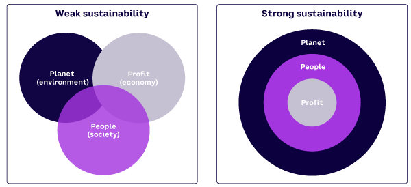 Figure 1. Perspectives on sustainability