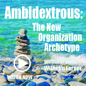 Ambidextrous: The New Organization Archetype