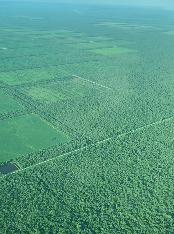 Figure 1. Aerial view of the Northern Paraguayan Chaco, where large forest  patches are still present and where evidence-based scoping can reduce deforestation rates (source: Ana Maria Sanchez)