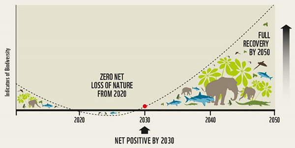 Figure 3. A graphical representation of a global goal for nature positive (source: Locke et al.)