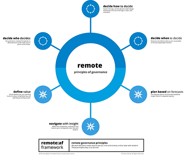 Figure 3. The principles of remote governance