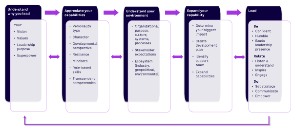Figure 2. Innovative Leadership framework