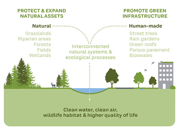 Figure 1. Nature-based solutions support and enhance the ecosystem processes and services that benefit everyone at the landscape scale, ranging from protecting, restoring, and expanding natural assets to promoting green infrastructure (adapted from: Metro Vancouver)