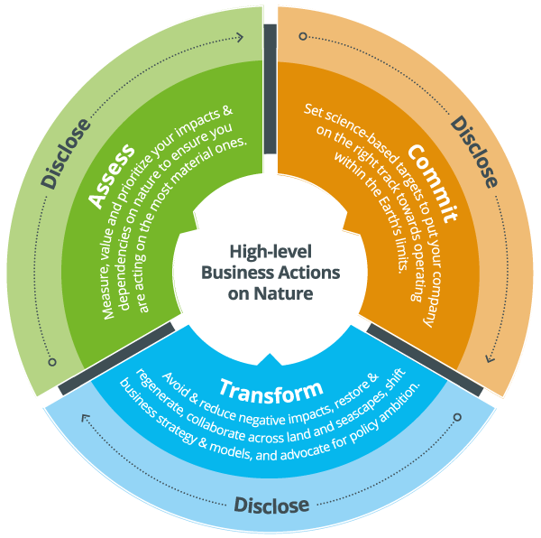 Figure 1. High-Level Business Action on Nature framework