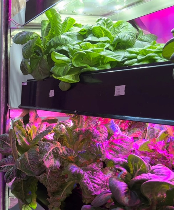 Figure 1. Indoor vertical agriculture system (source: QuantoTech)