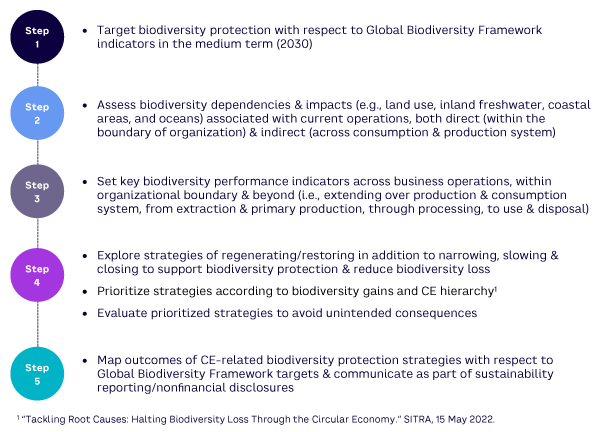 Figure 2. Circular strategies and biodiversity dependencies and impacts: assessment, selection, evaluation, and reporting   