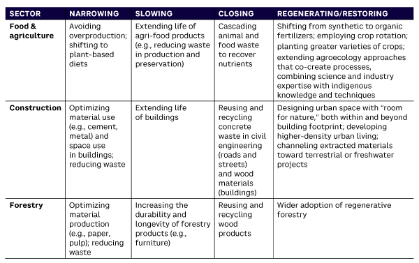 Table 1. Sector-specific circular actions to support biodiversity