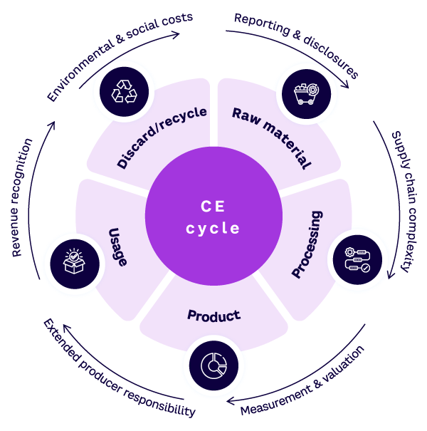 Figure 1. The complex linkage of the CE cycle