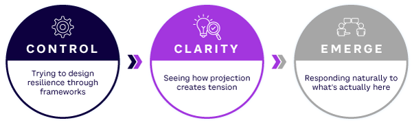 Figure 2. Resilience emerges as awareness replaces control