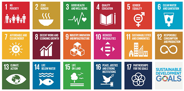 Figure 1 — UN Sustainable Development Goals (SDGs). (Source: United Nations.)
