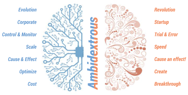 Figure 2 — Ambidextrous as a new paradigm of organizational success. (Source: Arthur D. Little.)