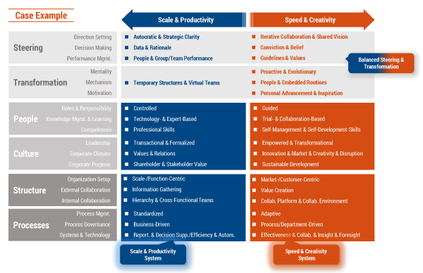 Figure 4 — High-level organizational capability canvas of an ambidextrous organization. (Source: Arthur D. Little.)