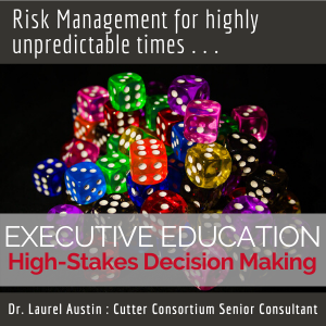 High-Stakes Decision Making Virtual Executive Education