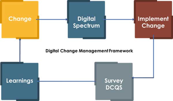 Figure 4 — The DCMF.