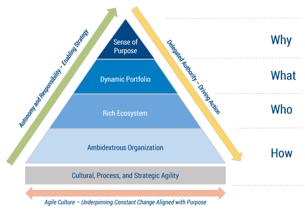 Figure 2 — Five leadership priorities covering the why, what, who, and how.