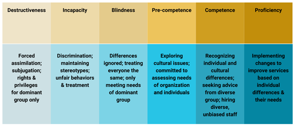 Figure 1 – Continuum of diversity competency.
