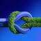 The Twin Transition: Digital Innovation & Climate Action