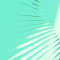 A Business Leader’s Guide to Quantum Software Architecture: Patterns for Success