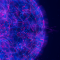Powering Real-World Innovation with Quantum Algorithms