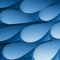 Overconfident CEOs: Simplifying Firms & Ignoring Risks