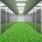 green data center