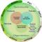 arch for sustain