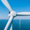 Balancing Wind-Energy Needs with Biodiversity Goals