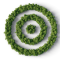 Embedding Purpose to Achieve Real SBT Results