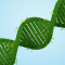 Blueprint for Greener Healthcare: A Three-Step Sustainability Strategy