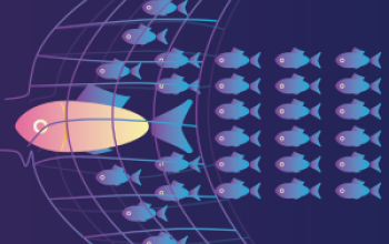 9 Traps That Derail Purpose-Driven Transformation