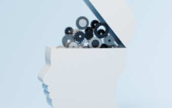 Institutionalizing Board Knowledge