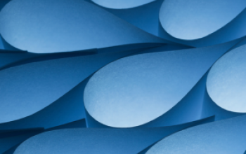 Overconfident CEOs: Simplifying Firms & Ignoring Risks
