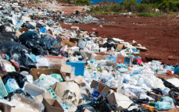 waste