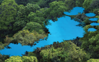 7 Pillars of a Universal Carbon Accounting System