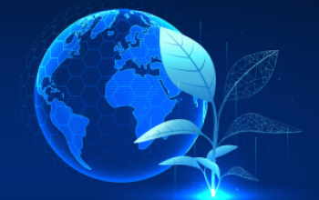 CEO Insights 2025: Turning ESG Pressure into Strategic Advantage