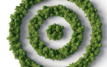 Embedding Purpose to Achieve Real SBT Results