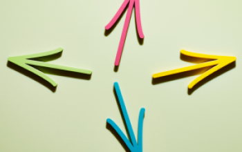 The Sustainability Canvas: Integrating Strategy, Efficiency & Impact