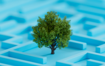 Building a Sustainability Strategy That Delivers for All