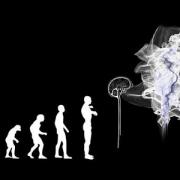 Business Evolution Survival of the Fittest - System100™