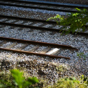 Watch Out! Presumed Processes Can Derail Risk Management