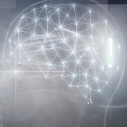 AI Hallucination in the Wake of GenAI