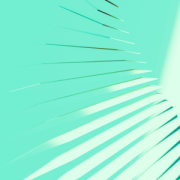 A Business Leader’s Guide to Quantum Software Architecture: Patterns for Success