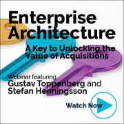 View Enterprise Architecture: A Key to Unlocking the Value of Acquisitions