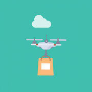 Drone Delivery: Enabling Sustainability with a Smaller Environmental Footprint