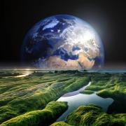 World Environment Day 2022: Protecting Earth for Better Living and Progress