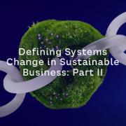Defining Systems Change in Sustainable Business: Part II 