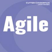 Agile Product Management & Software Engineering Excellence