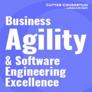 Business Agility & Software Engineering Excellence