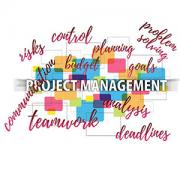 risk project management